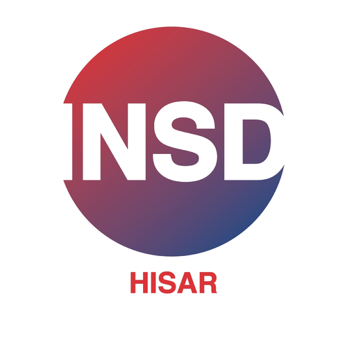 INSD Hisar logo